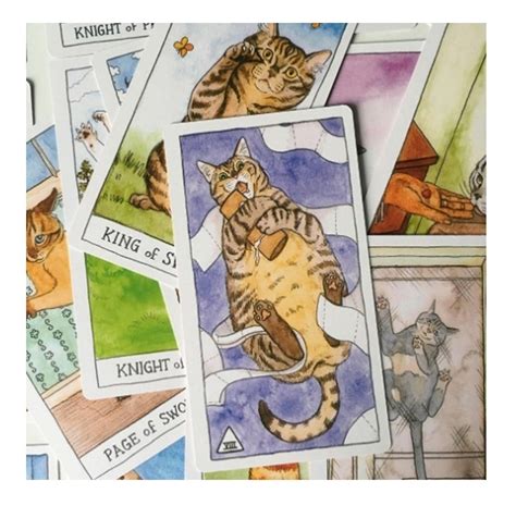 Tarot De Gatos Cat Tarot 78 Cartas Mercado Libre