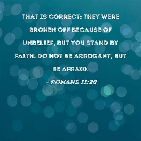 Romans 1120 That Is Correct They Were Broken Off Because Of Unbelief