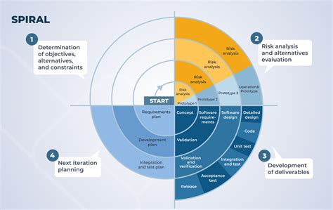 popular software development models