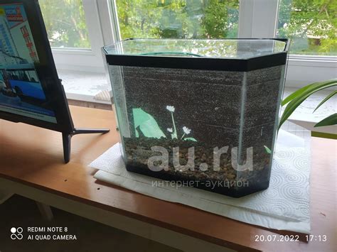 Аквариум 20л — купить в Красноярске. Состояние: Б/у. Аквариумы ...