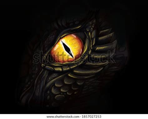 25106 Yellow Dragon Eyes Images Stock Photos And Vectors Shutterstock