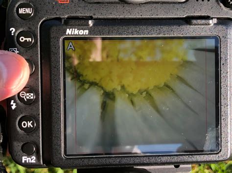 How To Take Sharper Photos With Your Dslr Photornia