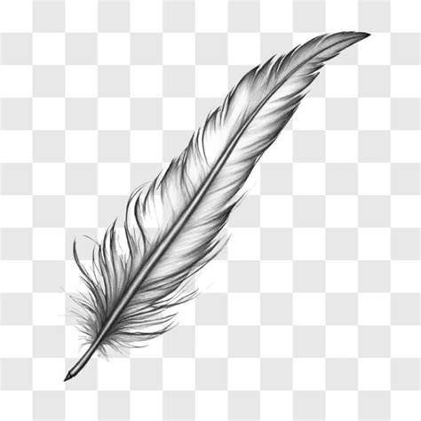 Download Feather Quill Symbolism and Tattoo Design Sketches Online - Creative Fabrica