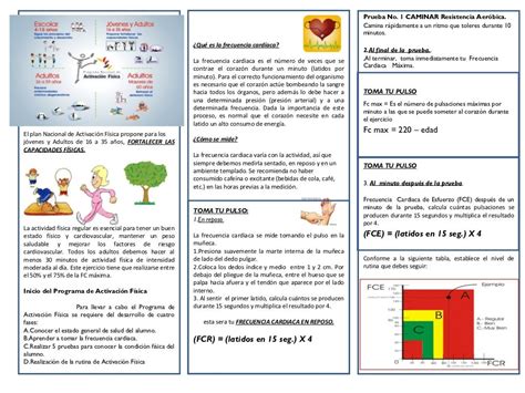 Frecuencia Cardiaca