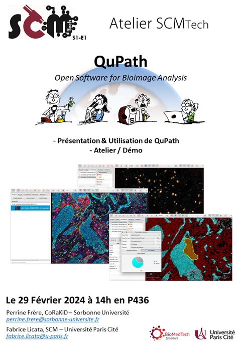 Atelier QuPath UFR Sciences Fondamentales et Biomédicales