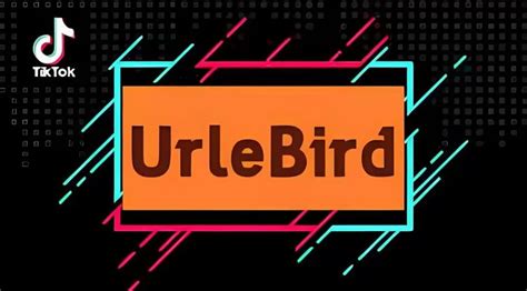 Urlebird The Complete Guide To The Anonymous Tiktok Viewer Radiance