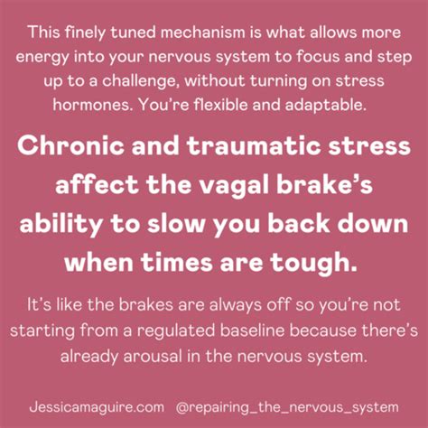 Vagus Nerve Effects Of Stress Self Regulation Mental And Emotional