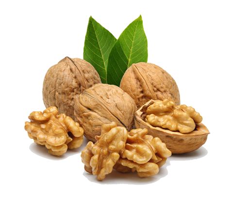 Dryfruits Nuts Richroots