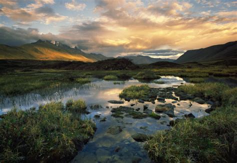 Brooks Range - Art Wolfe