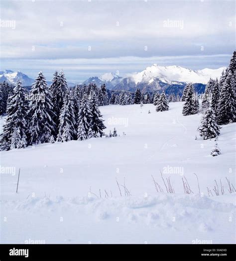 Winter landscape with snowy mountains in France Stock Photo - Alamy