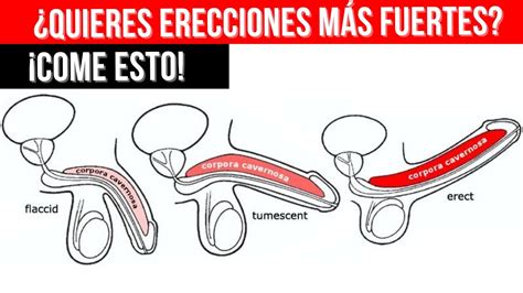 Descubre Los Alimentos Milagrosos Para Erecciones M S Fuertes Y Una