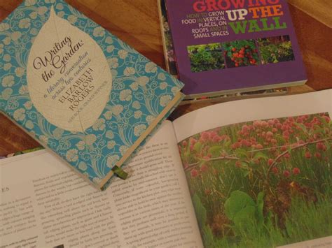 Best Books About Urban Gardening And Container Growing Urban Turnip