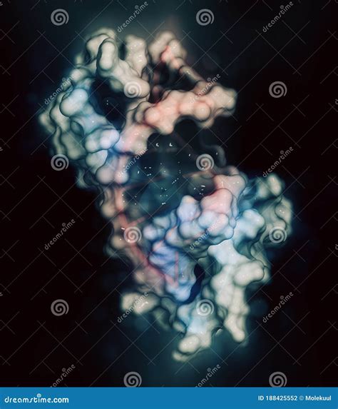 Sex Determining Region Y Sry Tdf Hmg Domain Protein Bound To Dna Protein Involved In Male