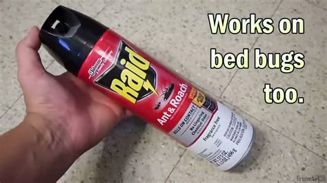 Killing Bed Bugs With Heat