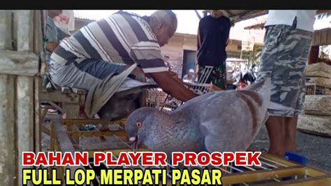 Merpati Prospek Semua Merpati Pasar Jono Mantap Youtube