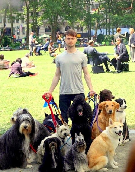 Daniel Radcliffe Dog Walker