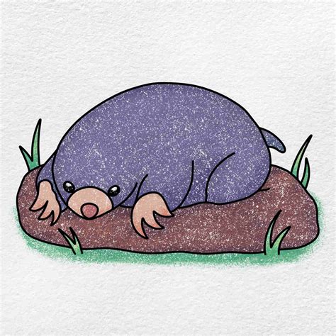Mole Drawing Helloartsy