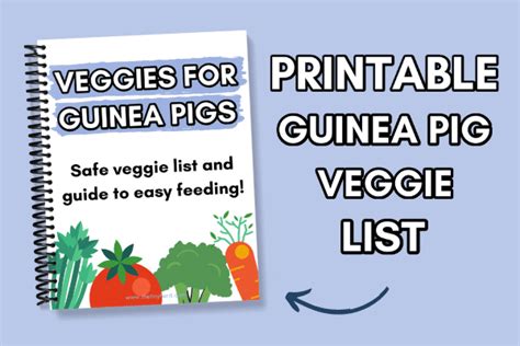 Safe Fresh Food List For Guinea Pigs Vegetables Fruits Herbs