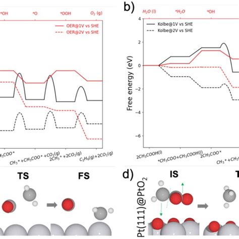 (PDF) Understanding the reaction mechanism of Kolbe electrolysis on Pt ...