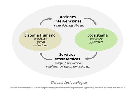 Sistemas socioecológicos SARAS Institute