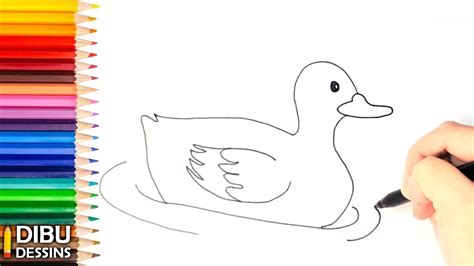 Comment Dessiner Un Canard Dessins Faciles Youtube