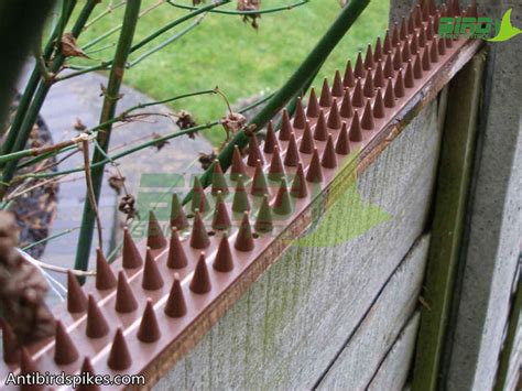 Anti-climb Fence Wall Spikes, Bird Deterrent Spikes for Fences and Wall