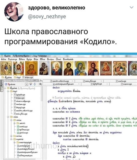 Кодило | Пикабу