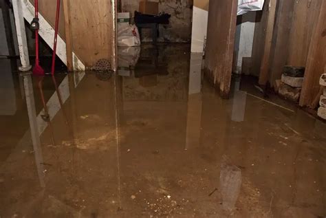 Basement Flooding Causes Cleanup Restoration And Prevention