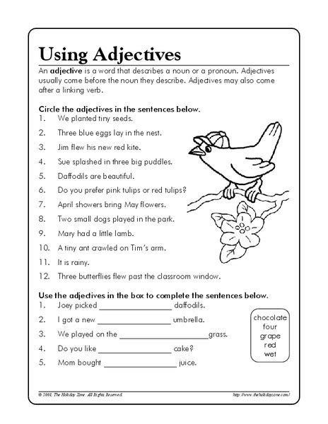 Identifying Adjectives Worksheet 5th Grade