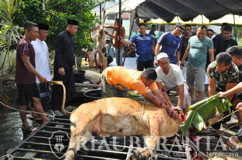 Korem 031 Wira Bima Gelar Sholat Idul Adha 1445 H Dan Penyembelihan