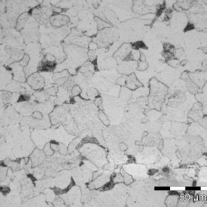 Ferrite and pearlite with equaiaxed microstructure of the steel ...