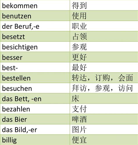 歌德A1词汇 11 哔哩哔哩