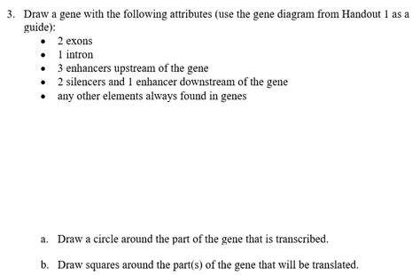 Solved Draw a gene with the following attributes (use the | Chegg.com 