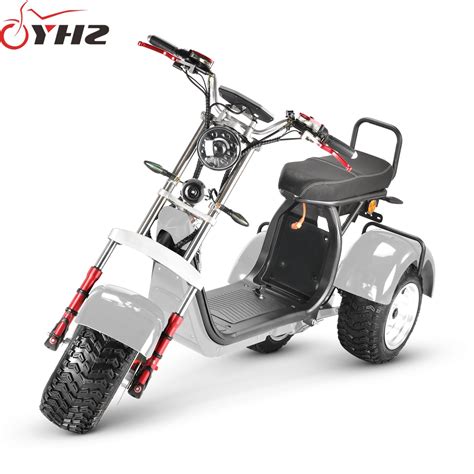 Factory Price Electric Trike Citycoco Eec W Wheel Motorcycle With