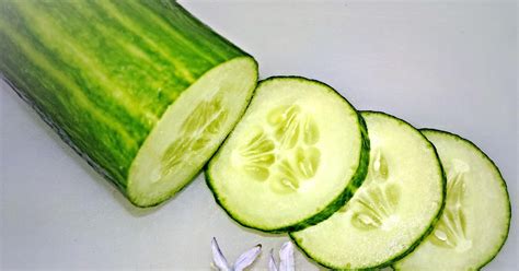 Pepino O Corcunda - Quieres SaLud: Conoce los beneficios único del pepino o: Cucumis sativus