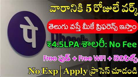 Phonepe Recruitment 2023 Latest Jobs In Telugu Work From Home Jobs In