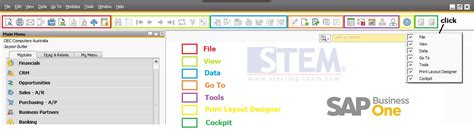 Customize Your Sap Tool Bar Sap Business One Indonesia Tips Stem