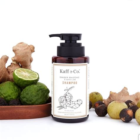 Kaff Co Ginger Rgizome Kaffir Lime Shampoo Oily Scalp แชมพสาร