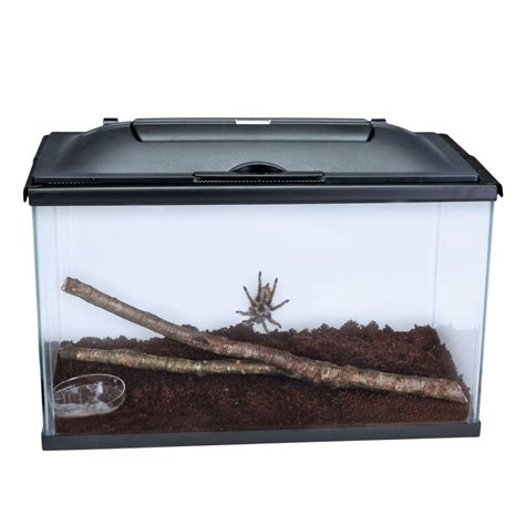 Tarantula Habitat, Deluxe, with Curly Hair Tarantula (with perishables) | Carolina Biological Supply