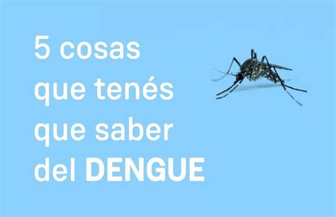 5 cosas que tenés que saber del Dengue