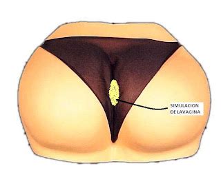 opcionen Diseño para hacer una vagina casera