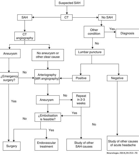 Clinical Management Guidelines For Subarachnoid Haemorrhage Diagnosis And Treatment