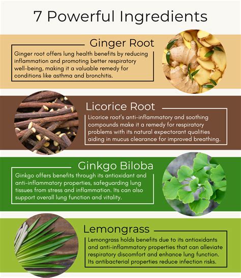 7 Powerful Ingredients