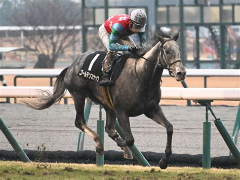 【万葉s結果】格上挑戦のゴールデンスナップが堂々押し切る 競馬ニュース Netkeiba