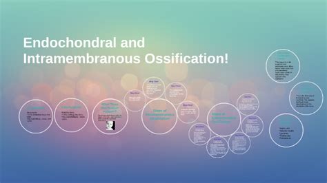 Endochondral And Intramembranous Ossification By Lauren Valente On Prezi