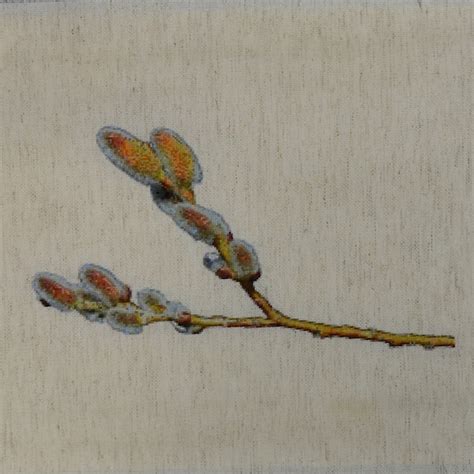Pussy Willow Etsy