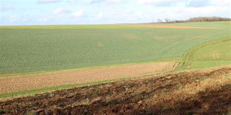 En 2025 des agricultures contractualisées ou des fermes firmes