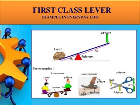 Lever And Its Types