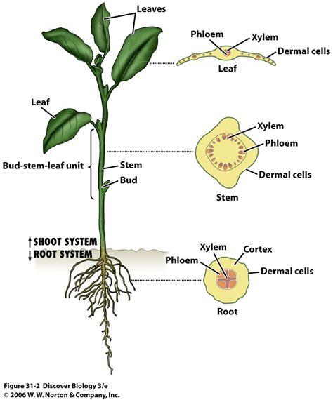 [DIAGRAM] Power Plant System Diagram - MYDIAGRAM.ONLINE