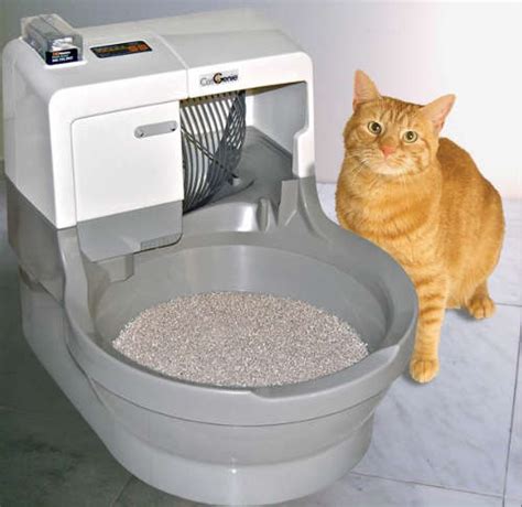 Best Cat Litter Box Reviews Automatic Top Entry Covered